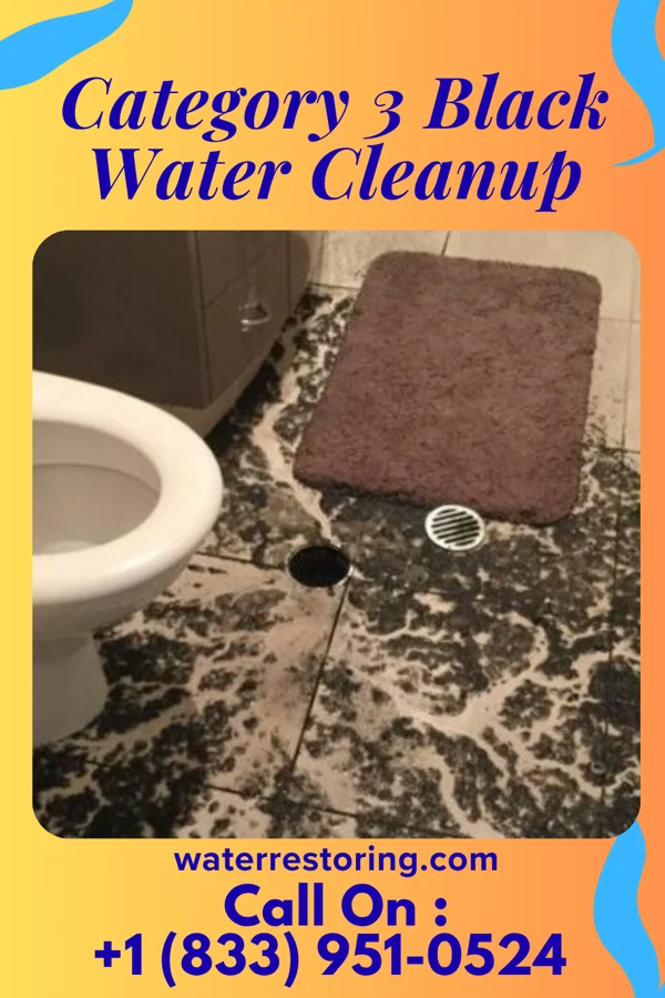 Category 3 Black Water Cleanup in Logan Elm Village, OH