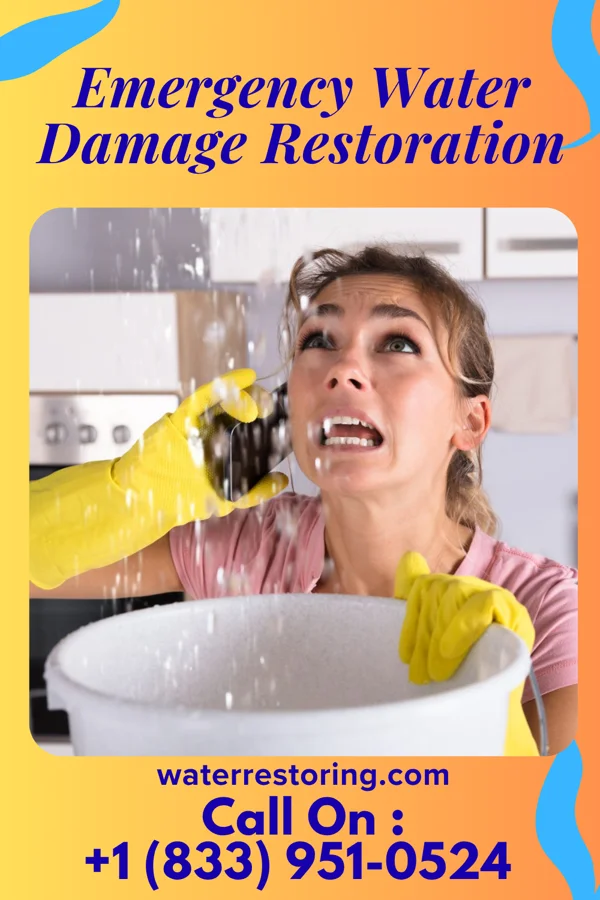 Emergency Water Damage Restoration in Logan Elm Village, OH