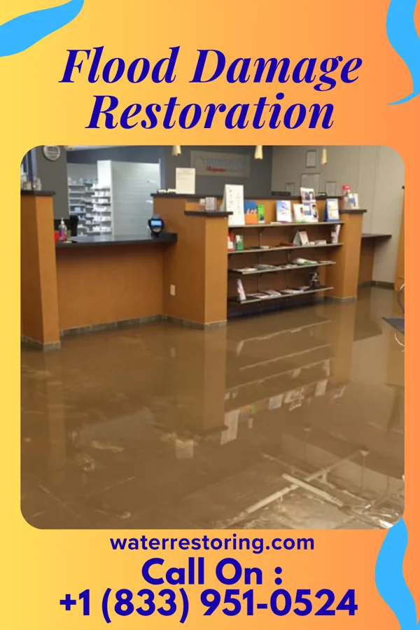 Flood Damage Restoration in Logan Elm Village, OH