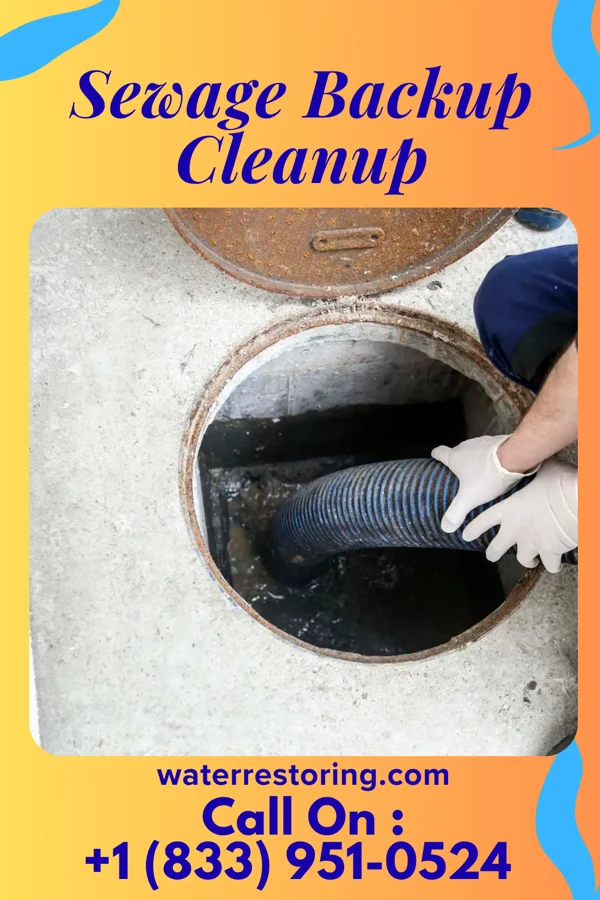 Sewage Backup Cleanup in Logan Elm Village, OH