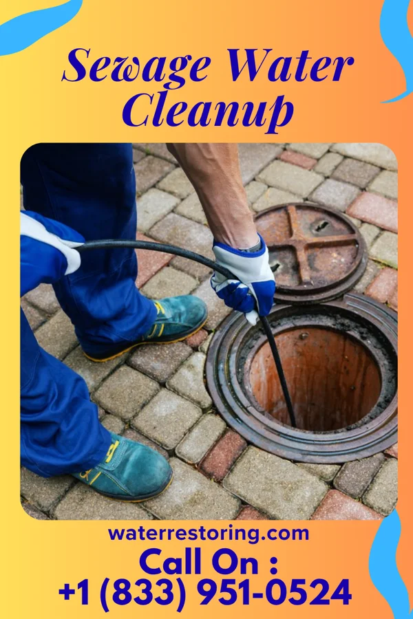 Sewage Water Cleanup in Logan Elm Village, OH
