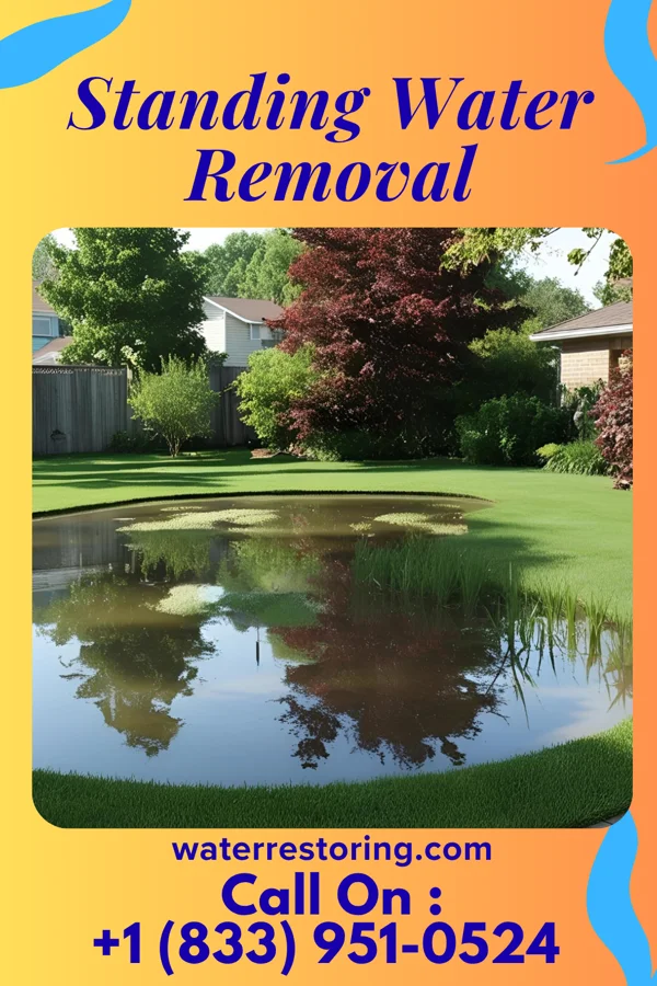 Standing Water Removal in Logan Elm Village, OH